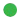 green_bullet1